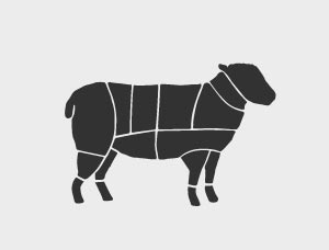 marx imports lamb outline